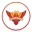 Sunrisers Hyderabad Logo