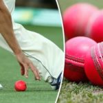BCCI Requests For Specific Pink Balls Before The Day-Night Test