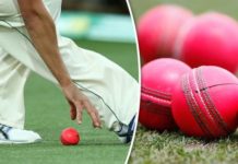 BCCI Requests For Specific Pink Balls Before The Day-Night Test BCCI Requests For Specific Pink Balls Before The Day-Night Test