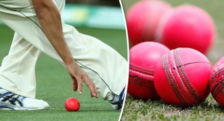 BCCI Requests For Specific Pink Balls Before The Day-Night Test