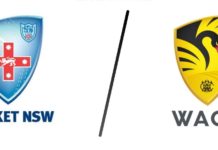 Match Prediction For New South Wales Vs Western Australia 12th ODI | Australia One-Day Cup 2019 | NSW vs WA | Australia ODD Match Prediction For New South Wales Vs Western Australia 12th ODI | Australia One-Day Cup 2019 | NSW vs WA | Australia ODD