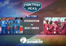 Fantasy Picks For Afghanistan Vs West Indies 1st T20 | Afghanistan V West Indies In India 2019 | AFG Vs WI | Playing XI, Pitch Report & Fantasy Picks | Dream11 Fantasy Cricket Fantasy Picks For Afghanistan Vs West Indies 1st T20 | Afghanistan V West Indies In India 2019 | AFG Vs WI | Playing XI, Pitch Report & Fantasy Picks | Dream11 Fantasy Cricket