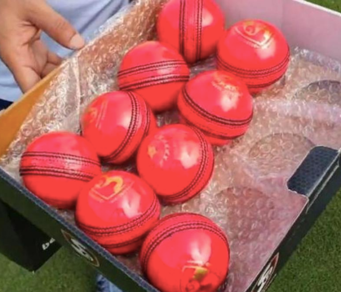 '' Pink balls's Behaviour Is Closer To White Ball '' Says Abhijit Bhattacharya