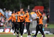 Fantasy Picks For Nelson Mandela Bay Giants vs Durban Heat | Mzansi Super League 2019 | MSL 2019 | NMBG vs DH | Playing XI, Pitch Report & Fantasy Picks | Dream11 Fantasy Cricket Fantasy Picks For Nelson Mandela Bay Giants vs Cape Town Blitz | Mzansi Super League 2019 | NMBG vs CTB | Playing XI, Pitch Report & Fantasy Picks | Dream11 Fantasy Cricket