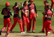 Fantasy Picks For Melbourne Renegades Women vs Hobart Hurricanes Women 24th T20 | Womens Big Bash League 2019 | WBBL 2019 | MLRW vs HBHW | Playing XI, Pitch Report & Fantasy Picks | Dream11 Fantasy Cricket Fantasy Picks For Melbourne Renegades Women vs Hobart Hurricanes Women 24th T20 | Womens Big Bash League 2019 | WBBL 2019 | MLRW vs HBHW | Playing XI, Pitch Report & Fantasy Picks | Dream11 Fantasy Cricket