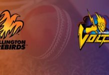Wellington Firebirds vs Otago Volts Match Prediction | Super Smash 2019-20 Wellington Firebirds vs Otago Volts Match Prediction | Super Smash 2019-20