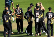 Dream 11 Predictions For Northern Knights Vs Wellington Dream 11 Prediction For Wellington Firebirds Vs Canterbury Kings