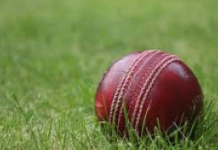 BCB Might Approach PCB For Split Series BCB Might Approach PCB For Split Series