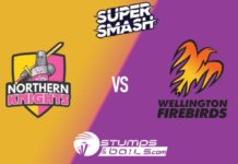 Northern Knights Vs Wellington T20 Prediction| SUPER SMASH 2019-20 Northern Knights Vs Wellington T20 Prediction| SUPER SMASH 2019-20