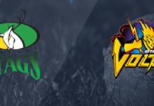 Central Stags vs Otago Volts T20 Prediction| Super Smash 2019-20 Central Stags vs Otago Volts T20 Prediction| Super Smash 2019-20