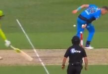 Cricket Australia Lauds Siddle’s Fielding To Effect A Stunning Run Out Cricket Australia Lauds Siddle's Fielding To Effect A Stunning Run Out