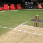 During The Lockdown A Man Turns His Back Garden Into Cricket Pitch