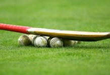 Dream11 Prediction For Bengal Tigers vs Helsinki Gymkhana Warriors Bengal Tigers Helsinki Gymkhana Warriors