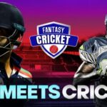 NFL Style Fantasy For Cricket