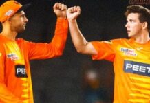 BBL 2021-22: Inglis, Patterson Power Scorchers To The Final Perth Scorchers vs Sydney Sixers Match Highlights