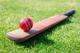 Pakistani cricketer to commit suicide