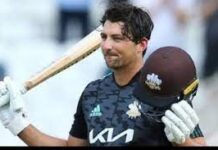 Tim David might get a chance to play T20 World Cup for Australia T20 World Cup 2022