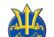 Barbados Royals names David Miller as Captain for CPL 2022 Barbados Royals Captain for CPL 2022