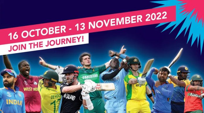 Final Participants of ICC T20 World Cup 2022