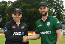NZ vs IRE 3rd T20 Highlights