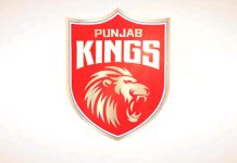 Capable Of Coaching Punjab Kings