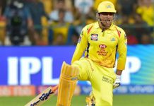 CSK’s Joburg franchise ropes in FAF du Plessis, MS Dhoni likely to be appointed as mentor CSK’s Joburg Franchise Mentor