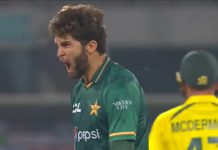 Former Pakistan Captain Shahid Afridi warned Shaheen not to dive Pakistan Captain Shahid Afridi