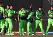 Underdog Teams to Look Forward to In T20 World Cup 2022 ICC World Cup T20 2022