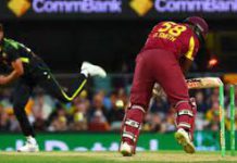 Yorker king, Mitchell Starc is back: Twitter hails the return Mitchell Starc Yorker king