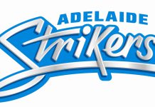 BBL 12: How many times did Adelaide Strikers qualify for playoffs? How many times did Adelaide Strikers qualify for playoffs