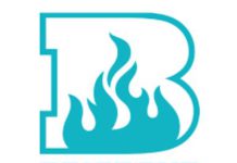 KFC BBL: How many times did Brisbane Heat qualify for playoffs? How many times did Brisbane Heat qualify for playoffs?