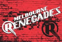 KFC BBL: How many times did Melbourne Renegades qualify for playoffs? How many times did Melbourne Renegades qualify for playoffs?