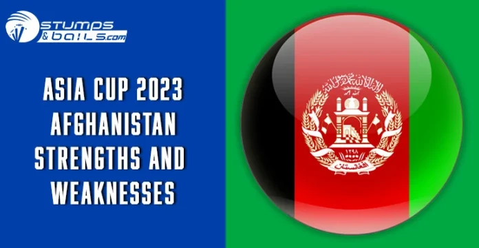 AFG Strengths and Weaknesses