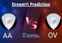AA vs OV Dream11 Prediction Match 23, Fantasy Cricket Tips, Pitch Report, Injury and Updates, Super Smash T20 2023 AA vs OV Dream11 Prediction