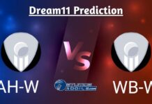 AH-W vs WB-W Dream11 Prediction, Women’s Super Smash 2023, Match 13, Small League Must Picks, Pitch Report, Injury Updates, Fantasy Tips, AH-W vs WB-W Dream 11 AH-W vs WB-W Dream11 Prediction Today
