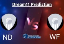 ND vs WF Dream11 Prediction: Super Smash Match 11 Fantasy Cricket Tips, ND vs WF Playing 11, Pitch Report, Weather ND vs WF Dream11 Prediction
