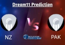 NZ vs PAK Dream11 Prediction 5th T20I: Pakistan tour of New Zealand Match 5, NZ vs PAK Playing 11, Hagley Oval Pitch Report, Weather, Top Fantasy Picks NZ vs PAK Dream11 Prediction 5th T20I