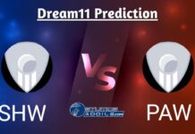 SHW vs PAW Dream11 Prediction: MCA Women’s T20 Inter-State Championship Match 14 Fantasy Cricket Tips, SHW vs PAW Dream11 Team Today’s Match SHW vs PAW Dream11 Prediction