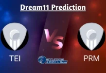 TEI vs PRM Dream11 Prediction, Theni vs Perambalur Match Preview, Injury Update, Playing 11, Pitch Report, Match 06 TEI vs PRM Dream11 Prediction