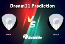 WA-W vs NSW-W Dream11 Prediction: Western Australia Women vs New South Wales Breakers Women Match Preview, Match 29, Playing 11, Pitch Report, Injury Report WA-W vs NSW-W Dream11 Prediction