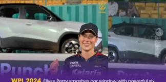Ellyse Perry Car Glass