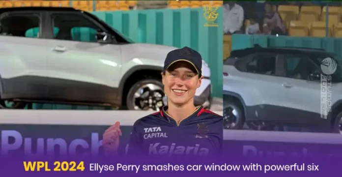 Ellyse Perry Car Glass