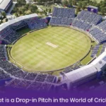 What is a Drop-in Pitch in the World of Cricket?