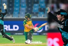 SA-W vs NZ-W Final Highlights: New Zealand claim maiden Women’s T20 World Cup title with convincing finale win vs South Africa SA-W vs NZ-W Final Highlights