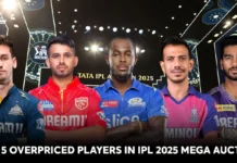 Top 5 overpriced players in IPL 2025 mega auction Who are the Top 5 overpriced players in IPL 2025 mega auction?