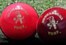 The Difference Between Red and Pink Ball Tests What is the Difference Between Red Ball and Pink Ball