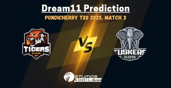 TIG vs TUS 3rd Match Dream11 Prediction