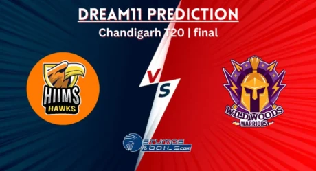 WWW vs HHK Dream11 Prediction, Fantasy Cricket Tips For Chandigarh T20 2025 – Final Match