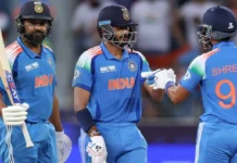 India vs New Zealand Final Match Highlights