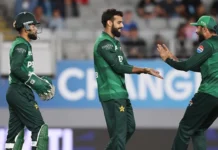 NZ vs PAK 3rd T20I Highlights